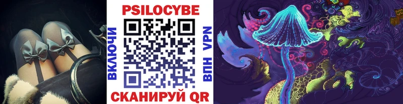 Галлюциногенные грибы Psilocybine cubensis  Салаир 